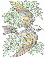 Klik hier voor een grote versie