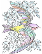 Klik hier voor een grote versie