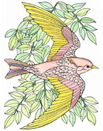 Klik hier voor een grote versie