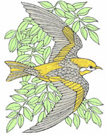 Klik hier voor een grote versie