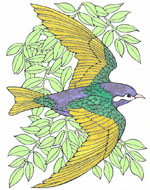 Klik hier voor een grote versie