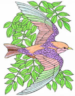 Klik hier voor een grote versie